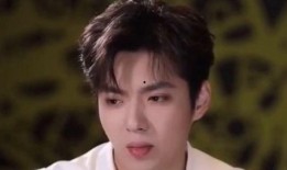 明星排名大全,揭秘娱乐圈风云变幻，盘点年度璀璨星辉